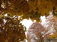 DSCF9047.jpg