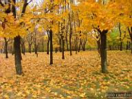 DSCF9075.jpg
