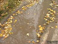 DSCF9087.jpg