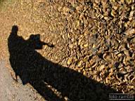 DSCF9105.jpg