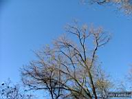 DSCF9123.jpg