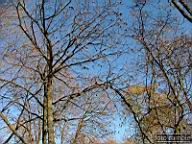 DSCF9199.jpg