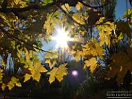 DSCF9206.jpg
