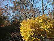 DSCF9215.jpg