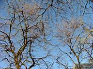 DSCF9216.jpg