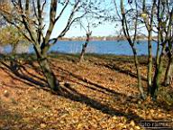 DSCF9261.jpg