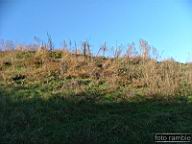 DSCF9285.jpg