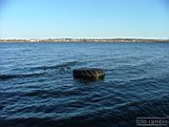 DSCF9289.jpg