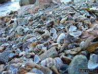 DSCF9337.jpg