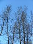 DSCF9625.jpg