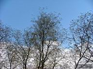 DSCF9627.jpg