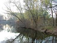 DSCF9646.jpg