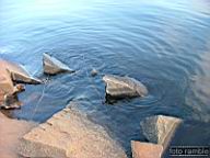 DSCF9655.jpg
