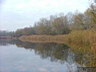 DSCF9662.jpg
