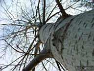 DSCF9679.jpg