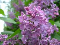 DSCF6378.JPG