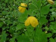 DSCF6714.JPG