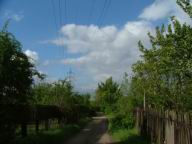 DSCF6876.JPG