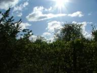 DSCF6877.JPG