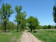 DSCF7167.JPG