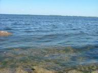 DSCF7214.JPG