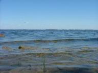 DSCF7215.JPG