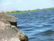 DSCF7224.JPG