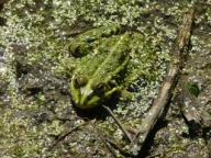 DSCF7448.JPG