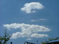DSCF7494.JPG